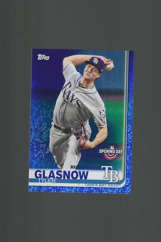 Tampa bay rays inserts - rays,
